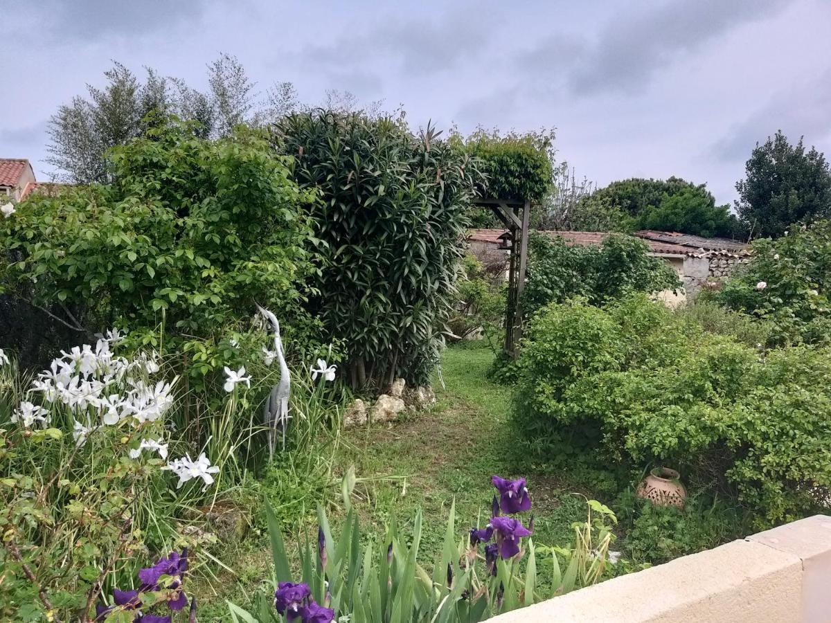 Maison Althea Rosea - 3 Chambres Et Piscine Nieulle-sur-Seudre Zewnętrze zdjęcie