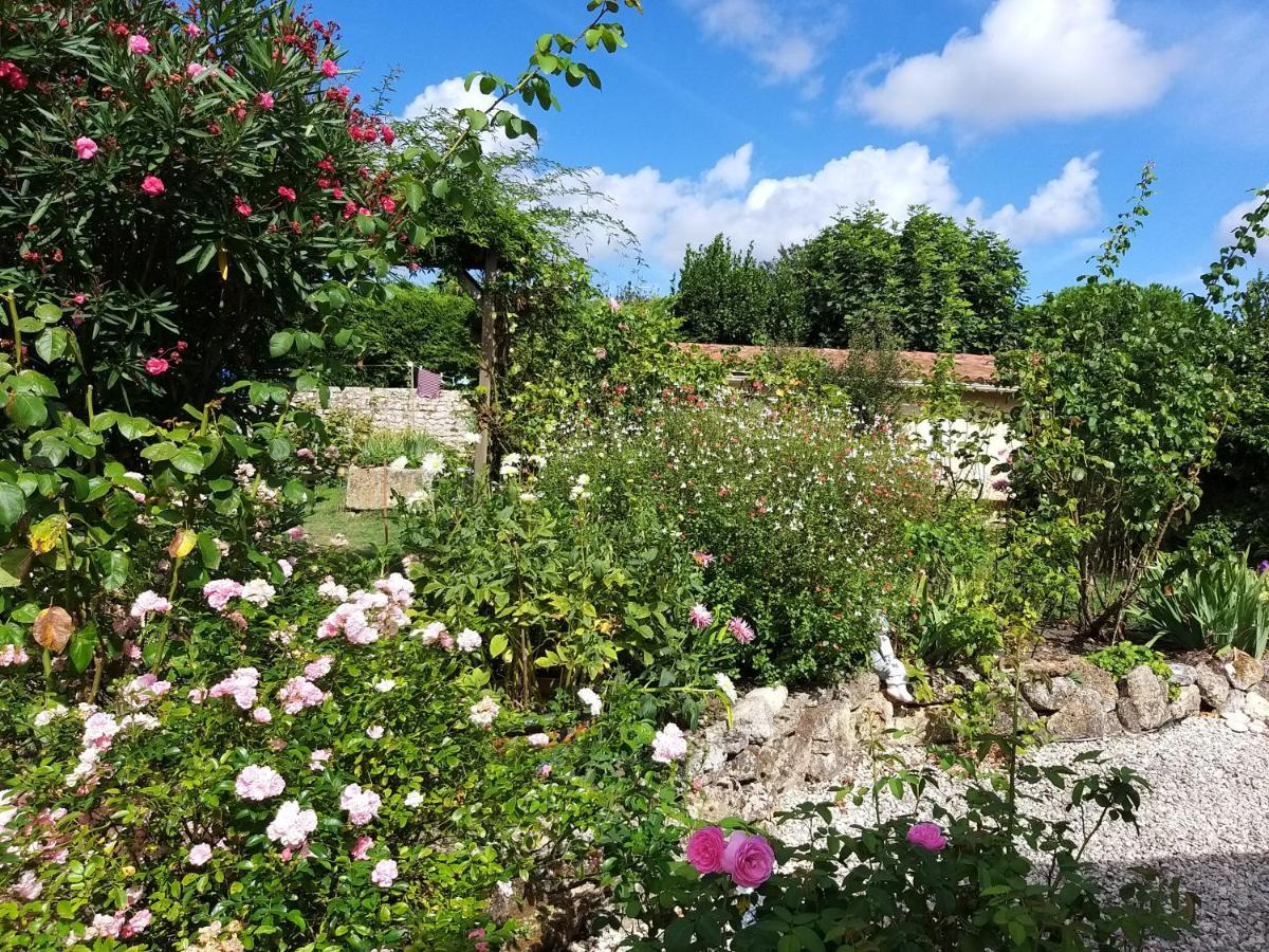 Maison Althea Rosea - 3 Chambres Et Piscine Nieulle-sur-Seudre Zewnętrze zdjęcie